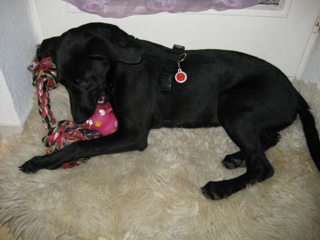 Bild 3